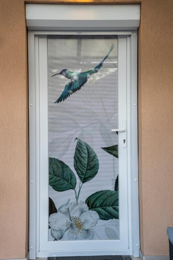 Kolibri Apartman - Makó エクステリア 写真